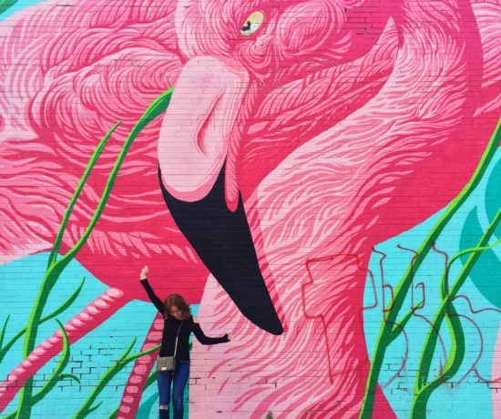 Chicago Flamingo Wall Mural