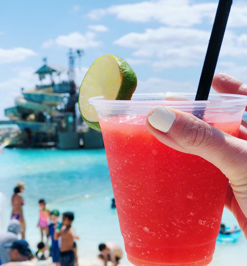 Castaway Cay // 20 Things You Need to Know Before your Disney Cruise 